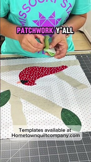 The Cardinal Memory Quilt - Part 2