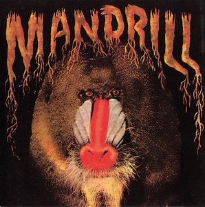 Mandrill - Mandrill