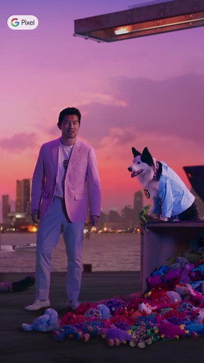 What Do Dogs Think About? Google Pixel's Super Res Zoom Reveals All