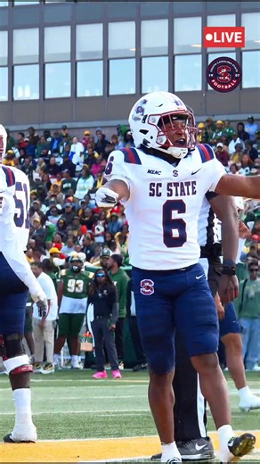 4.8K views · 146 reactions | #GoDogs The 1st of 2 Touchdowns for MASON PICKETT-HICKS #PayTheFEE #DigDEEP #FearTheBITE #CWCW #BBB #HTR #BuyIn  | SC State Football | Facebook