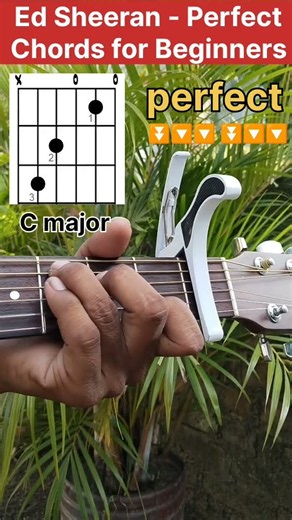 Perfect - Ed Sheeran | Easy Guitar Chords for Beginners