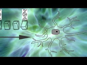 Bioelectricity, Morphology, & Electroceuticals | Electricity of Life