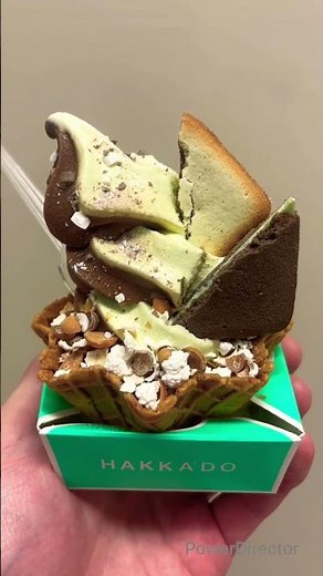 [Kitami Hakka Tsusho] Chocolate Mint Sundae, feels SO GOOD!! [Financial Struggle] #Hokkaido #Kita...