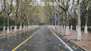 车道线检测lanedetection 素材2