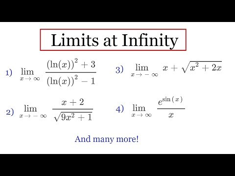 10 Limits at Infinity