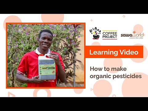 Sustainable Pest Control: Making Organic Pesticides from Locally Available Materials