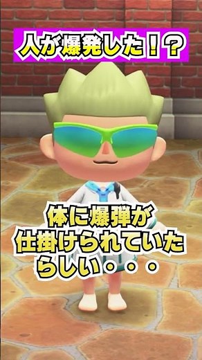 Someone randomly exploded!? [Animal Crossing: New Horizons]