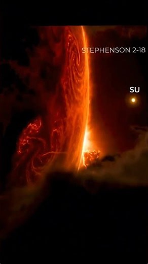 Our Sun vs Stephenson 2-18 😱 | The Largest Star Ever Discovered#space