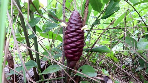 They dug a giant underground pool park by hand - then the water slide almost didn’t work