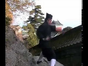 Explosive Wudang Kungfu - Internal Powers - Fali & Fajin 武当发劲和发力