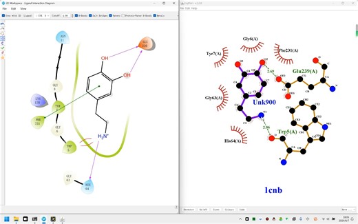 分子对接结果图展示对比（薛定谔，Pymol，Ligplot）