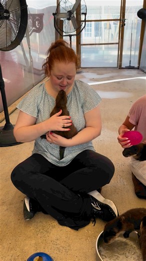 137K views · 3K reactions | Who Wants To Play With Our OTTERS? Behind The Scenes VIP Tours Play With Otters, Hold One, Feed Capybaras,Porcupine, Camels, Bottle Feed & Hold A Baby Kangaroo & Sooooo Much More Book It NOW at AnimalEDventures.com | Animal EDventure Park & Safari | Facebook