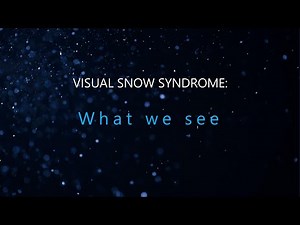 Visual Snow Syndrome: What we see