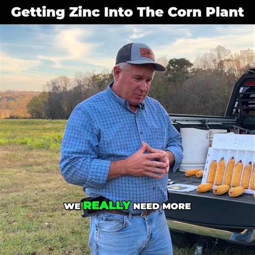 1.3K reactions · 14 shares | It was a tough year in the Piedmont, but perhaps a good year for seeing just how important Zinc is to the corn plant in this trial with Concept AgriTek. Full Trial details here  https://www.xtremeag.farm/zinc-trial-results | XtremeAg.farm | Facebook