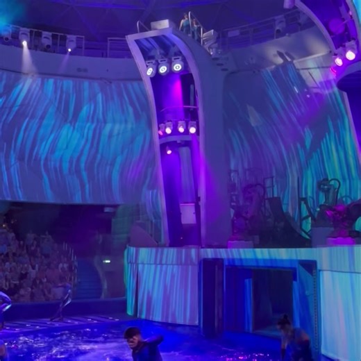 88K views · 435 reactions | If you’ve sailed on an Oasis Class ship on Royal Caribbean, you have probably experienced a show at the Aqua Theatre, with high dives and acrobatics. On Icon of the Seas, they kick it up a notch (or ten!) with the AquaDome, and add in many new elements. Soooo impressive! We’ll make sure you know exactly how to get a reservation for this show, included in your cruise fare! It’s like Cirque de Soleil with water, WOW! | Be Our Guest Travel Company | Facebook