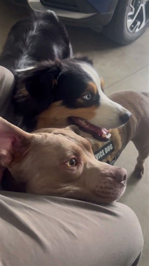 The boys . blue and Andre . Gs