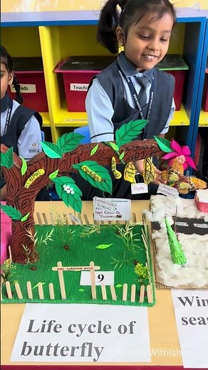 Life Cycle Of A Butterfly🦋 3D Model For School | Butterfly Life Cycle School Science Project🌸 #yt