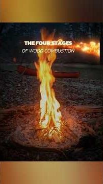 Four stages of #fire #wood #combustion