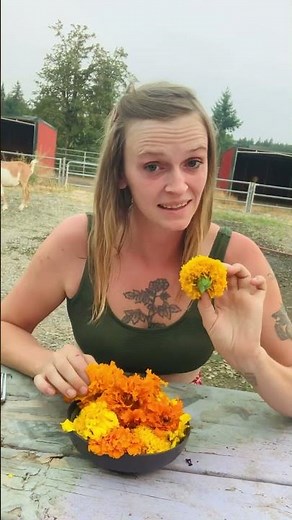 Marigolds. For eating or pest control??