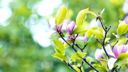 Unicomp防盗锁业(智能密码指纹锁)维修中心|24小时全国统一售后受理中心电话4000767098