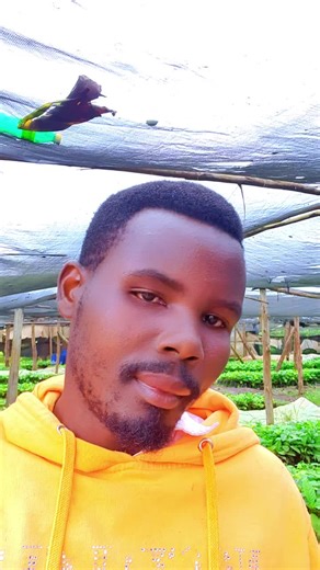 mose_ug_official (@mose_ug_official)’s videos with original sound - K-PULSE BAND