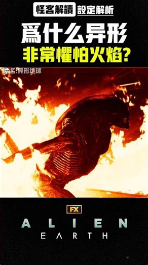 為何異形的弱點竟然是火焰?【設定解析｜AlienEarth異形地球｜怪客解讀】
