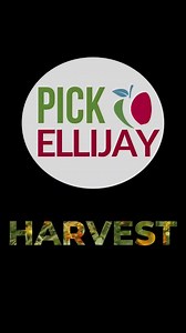 5.7K views · 21 reactions | There’s no better time to visit Ellijay than the Harvest season! While you’re out picking apples or flowers or enjoying the fruits of one of our vineyards’ harvest, snag a picture using #pickellijay and swing by one of our visitors’ centers to grab some awesome handmade soap from Wagging Tails Farm | Pick Ellijay | Facebook