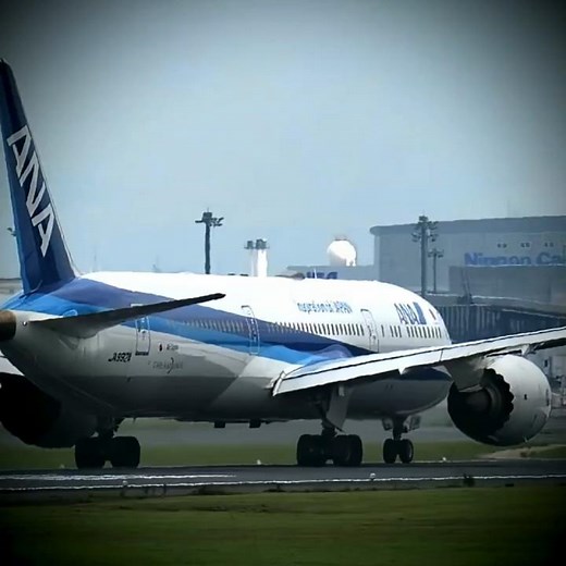 ANA plane taking off, Narita Airport: NRT