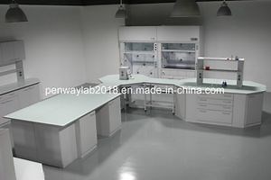 [Hot Item] Modern Design Lab Furniture with Shelf
