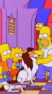 Bart buys a new dog #shorts #cartoons #simpsons #summary