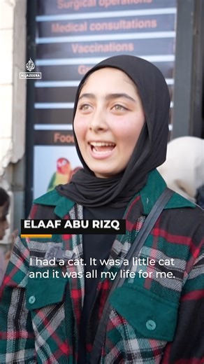 Amid Gaza’s collapsing healthcare system, Palestinian volunteers struggle to rescue hungry and abandoned animals during Israel’s genocide. | Al Jazeera English