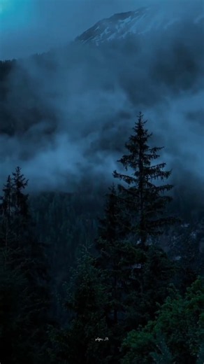 # rainforest🌧️🌬️ video
