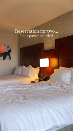 Renaissance Seattle Hotel: Perfect Stay for You and Your Pup