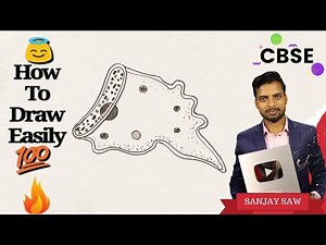 How To Draw Amoeba step by step for beginners !
