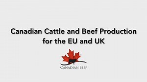 English - GEP Free Production Protocols