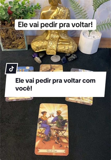 The magian no TikTok