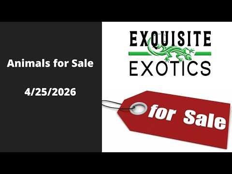 Animals Available - 04/25/2026