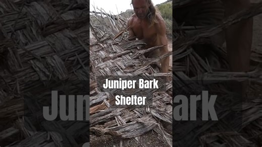 I created a cozy hut with just sticks!