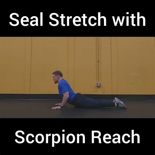 Seal Stretch with Scorpion Reach
