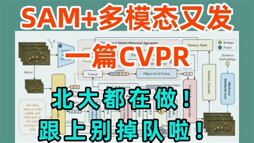 凭借SAM 多模态又发一篇CVPR！北大都在做，跟上别掉队了！-人工智能/大模型