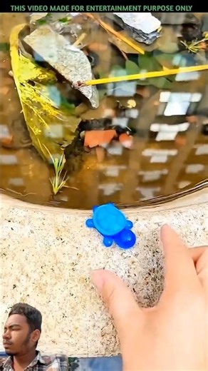 Aesthetic Facts That Are Beautifully Strange #facts #aesthetic