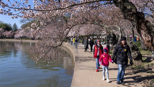 It’s the first day of spring! Here’s what that really means