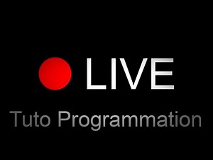 Un jour, un jeu... Jeu multijoueur en java pur !