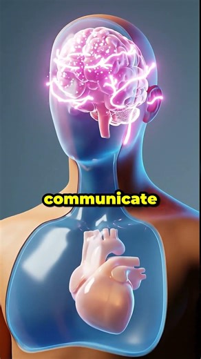 What Walking Does to Your Brain 🧠 #BrainHealth #WalkingBenefits #Neuroscience #HealthShorts