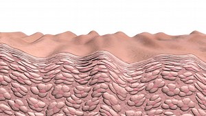 Skin Wrinkling Pan Skin Aging Animation Stock Footage Video (100% Royalty-free) 406105 | Shutterstock