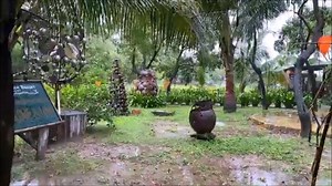 15K views · 808 reactions | Good Rainy  Morning! Re-Opening Special...