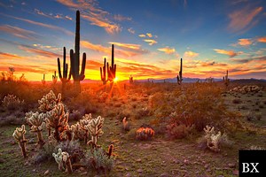 Arizona Lost Title Bond: A Comprehensive Guide