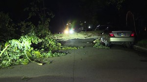 STORM RECAP | Possible tornado touchdowns, numerous wind damage reports
