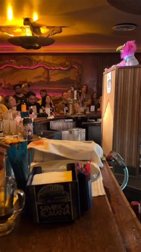 Chad the Bird on Instagram: "To TiVO is to remember. So here’s more of my TiVocation in TiVO of TiVO."