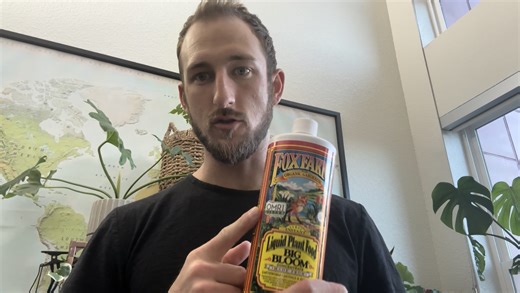 Watch Honest Review After Using Fox Farms Big Bloom! on Amazon Live